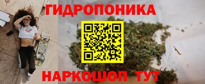 скорость Будённовск