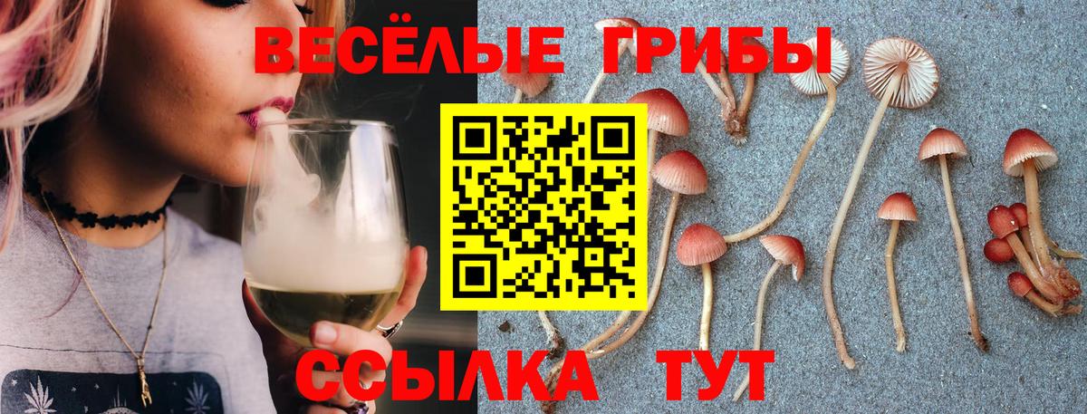 купить наркотики сайты  Вход с VPN  Тобольск  Галлюциногенные грибы Cubensis 